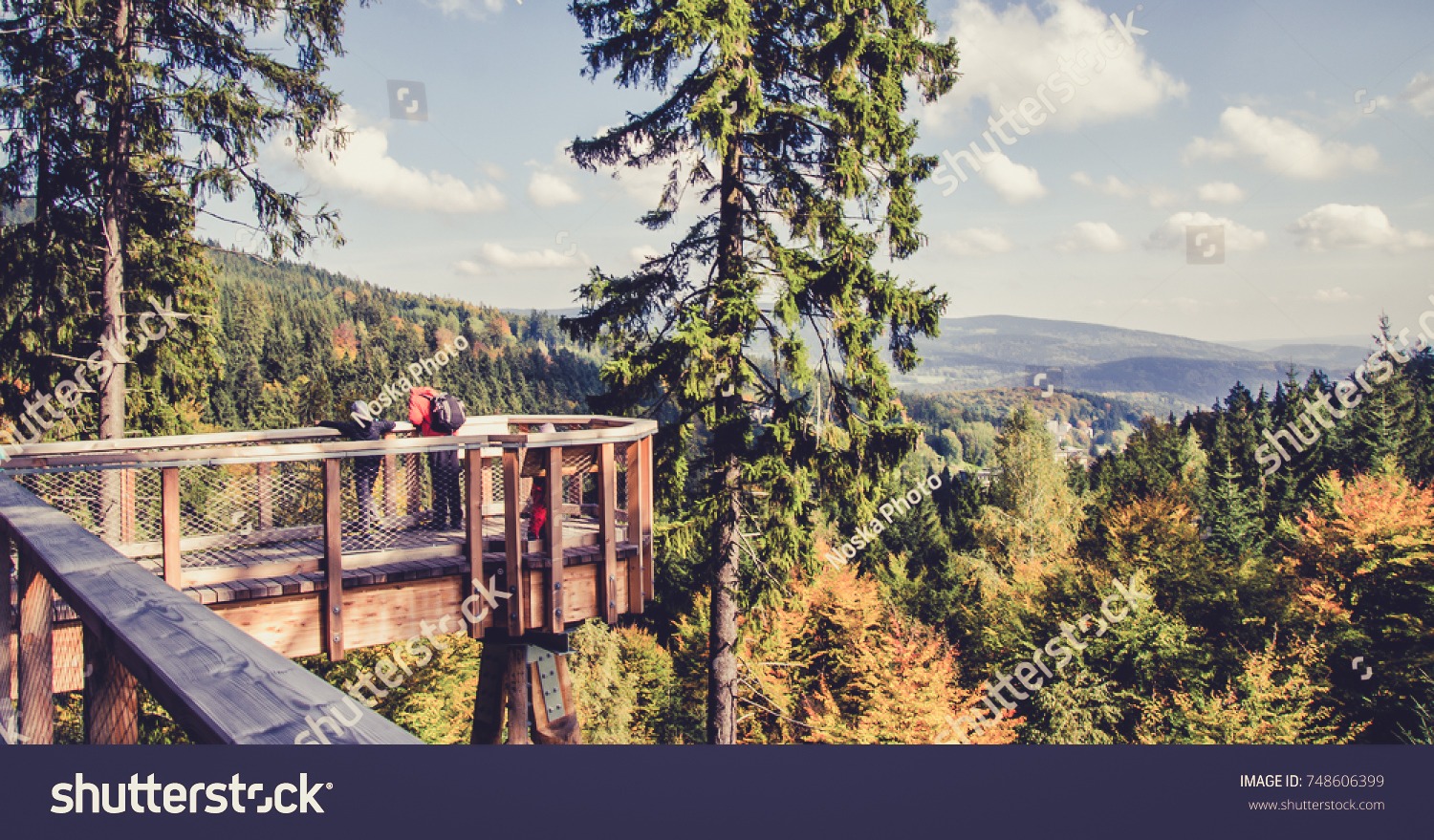 stock-photo-the-path-in-the-tree-crowns-748606399